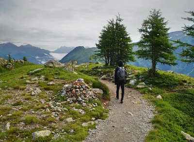 Get Ready for the Thrilling Tour de France 2020 Experience!