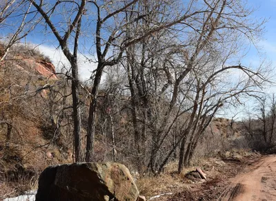 Exciting Updates on USA Cycling Masters Track Nationals 2023!