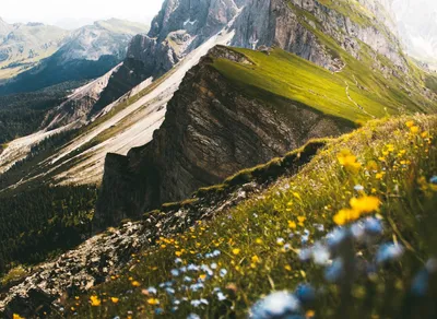 Unleash Your Adventure: Northstar Mountain Biking Expedition