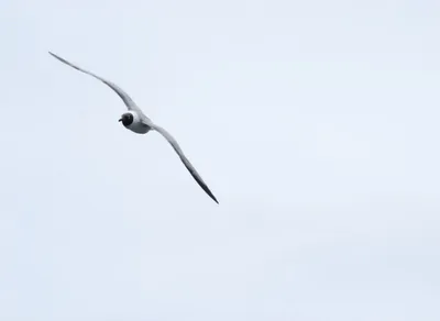 Discover Exciting Rail Biking Adventures Near You