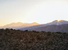 Unleash Your Full Potential with Joshua Tarling - The Ultimate Fitness Guru