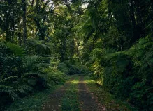 Experience the Thrills of the Cyclist Tour in Guadeloupe 2023