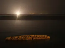 Breaking News: Victory for Tao Geoghegan Hart in Epic Cycling Battle!