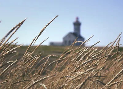 Experience the Thrills of Tour de France 2020 - Join the Excitement Now!