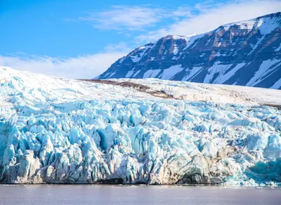 Find Your Adventure: Discover the Best Downhill Mountain Biking Near You!