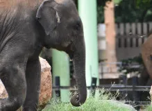 Dominating the Racing Scene: Jumbo Visma's Unstoppable Triumphs