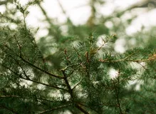 Unveiling the Untold Journey of Peter Sagan: From Rising Star to Cycling Legend