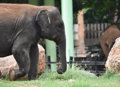 Dominating the Racing Scene: Jumbo Visma's Unstoppable Triumphs