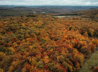 Discover the Best Local Mountain Biking Trails Here