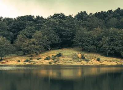 Discover the Ultimate Guide to the Best Biking Trails Near You!