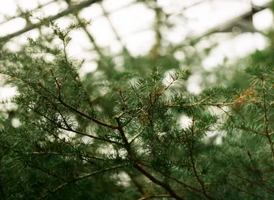 Unveiling the Untold Journey of Peter Sagan: From Rising Star to Cycling Legend