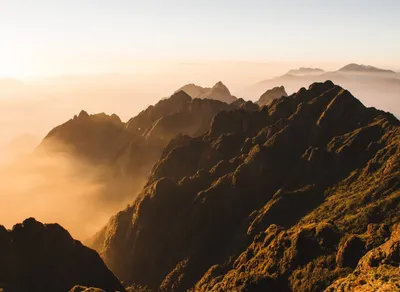 Conquer Mont Ventoux on Your Bike - Unleash the Cyclist within You!