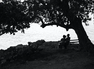 Experience the Thrill of Tour Cycliste Guadeloupe 2023 - Book Now!