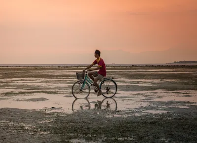 Find the Best Nearby Bicycle Shop for All Your Cycling Needs