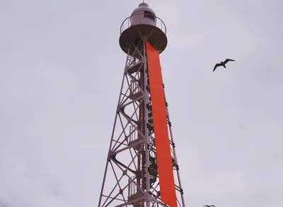 Get Your Perfect Custom Cycling Jersey Now! Shop the Latest Designs