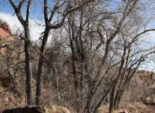 Exciting Updates on USA Cycling Masters Track Nationals 2023!