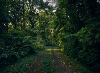 Experience the Thrills of the Cyclist Tour in Guadeloupe 2023