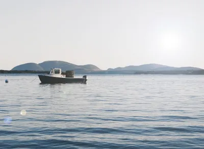 Discover the Best Biking Trails Near You - A Local Guide