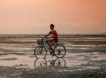 Find the Best Nearby Bicycle Shop for All Your Cycling Needs