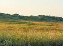 Unleash Your Inner Cyclist with Peter Sagan: The Ultimate Guide to Conquering the Roads