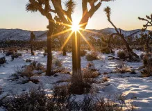 Unleash Your Potential with Joshua Tarling - Leading Fitness Expert and Inspiring Mentor