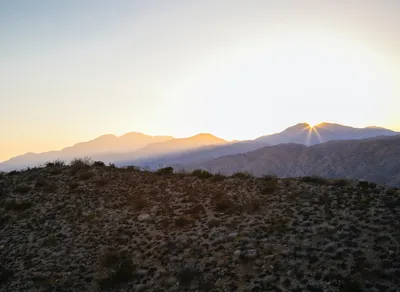 Unleash Your Full Potential with Joshua Tarling - The Ultimate Fitness Guru