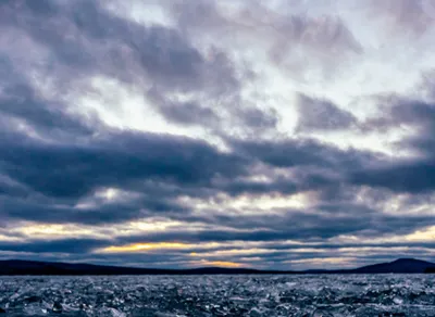 Discover the Best Nearby Biking Trails for an Epic Adventure!