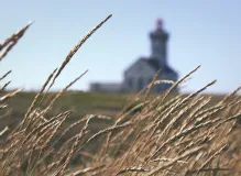 Experience the Thrills of Tour de France 2020 - Join the Excitement Now!