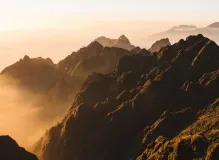 Conquer Mont Ventoux on Your Bike - Unleash the Cyclist within You!