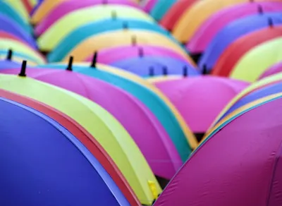 Discover the Ultimate Guide to Direct Velo - Boost Your Cycling Performance Today