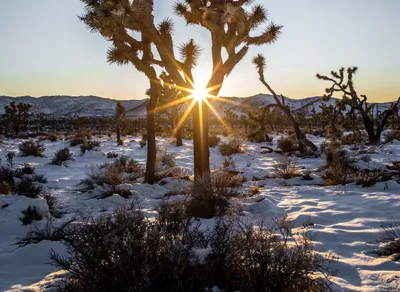 Unleash Your Potential with Joshua Tarling - Leading Fitness Expert and Inspiring Mentor