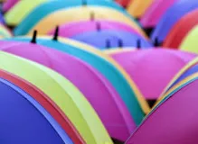 Discover the Ultimate Guide to Direct Velo - Boost Your Cycling Performance Today